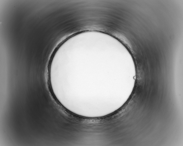 X0000094321040200711301204