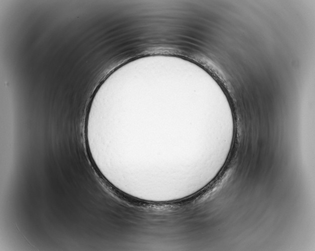 X0000094321041200711301204