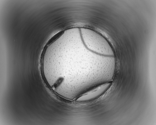 X0000094321042200711301204