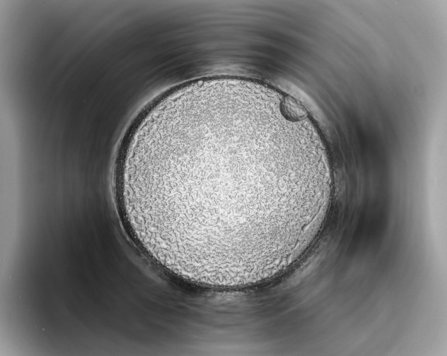 X0000094321043200711301204