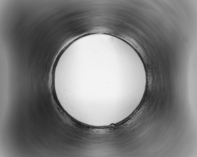 X0000094321044200711301204