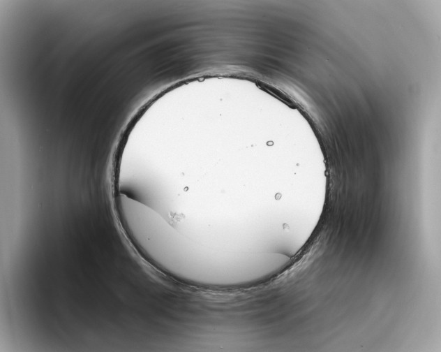 X0000094321046200711301204