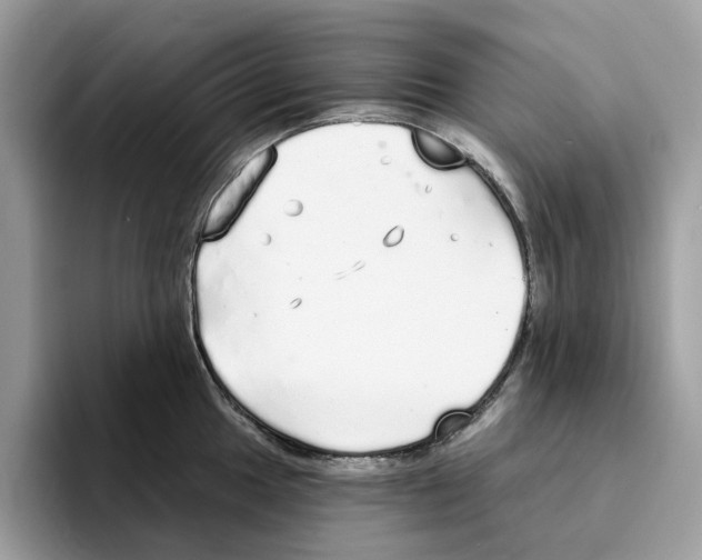 X0000094321049200711301204