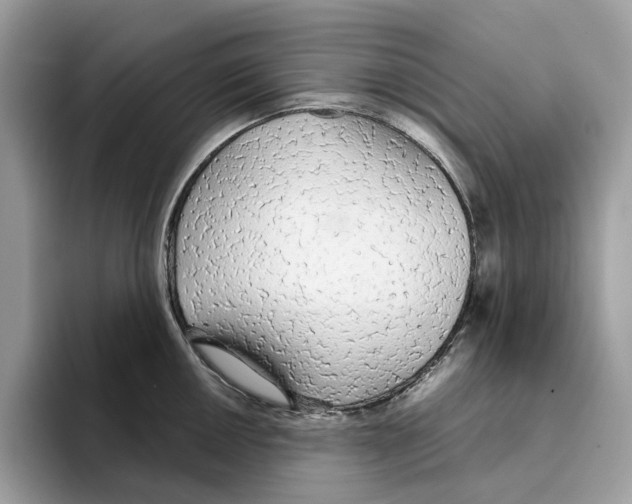X0000094321050200711301204