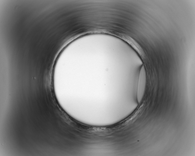 X0000094321052200711301204