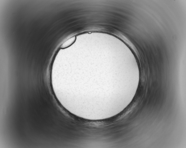 X0000094321053200711301204