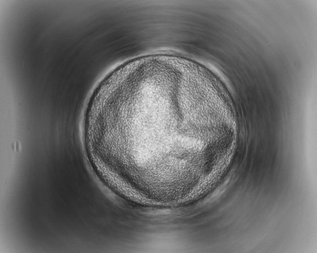 X0000094321054200711301204