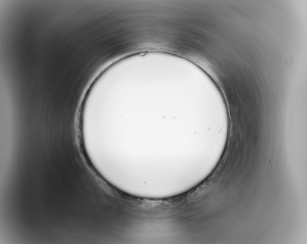 X0000094321056200711301204