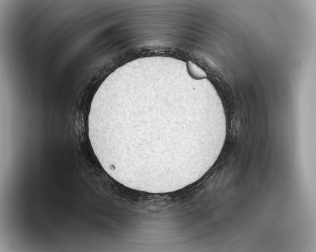 X0000094321062200711301204