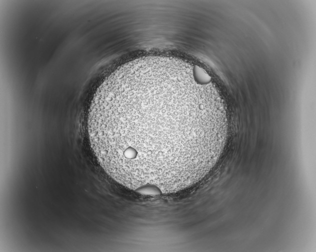 X0000094321063200711301204