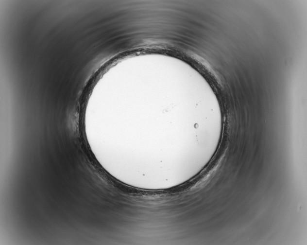 X0000094321066200711301204