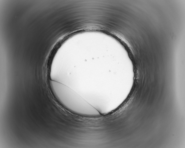X0000094321067200711301204