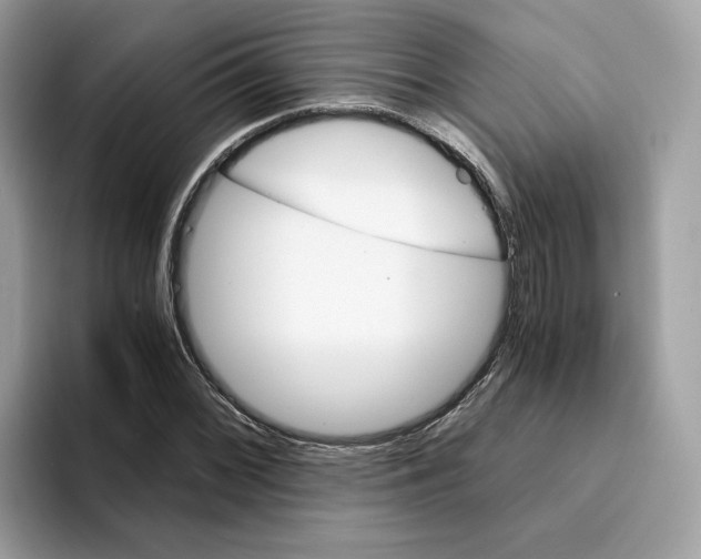 X0000094321068200711301204
