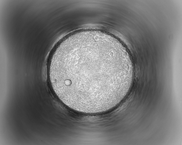 X0000094321075200711301204