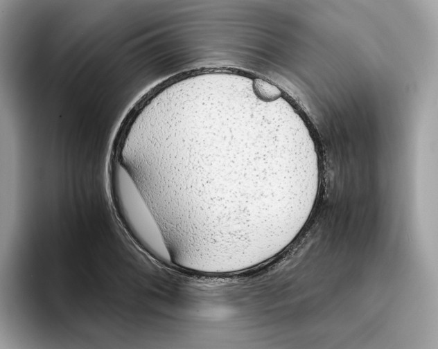 X0000094321076200711301204