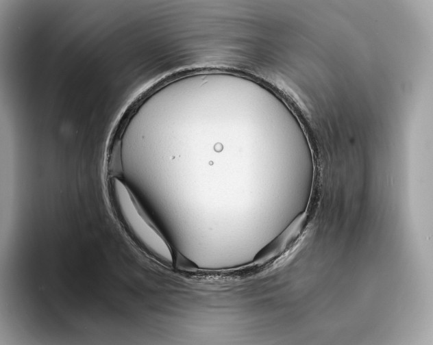 X0000094321077200711301203