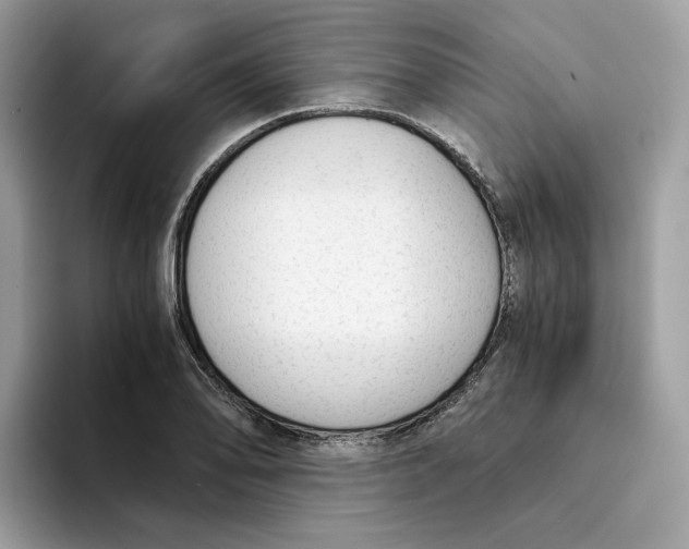 X0000094321078200711301203