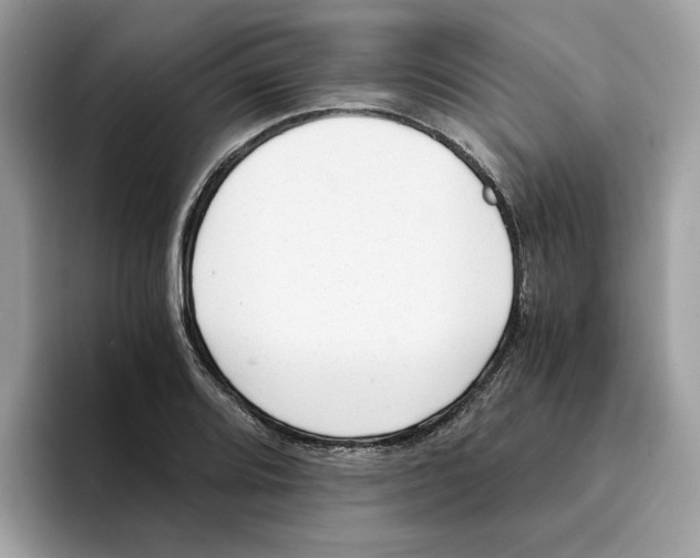 X0000094321080200711301203