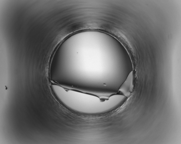 X0000094321081200711301203