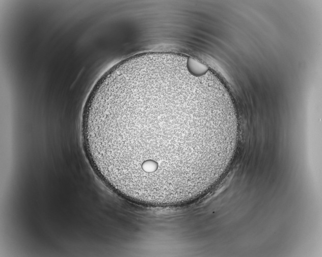 X0000094321087200711301203