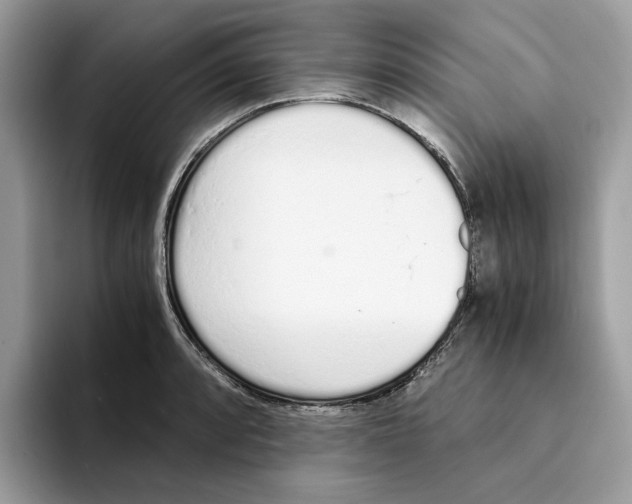 X0000094321088200711301203