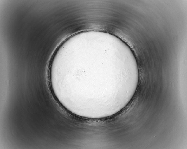 X0000094321091200711301203
