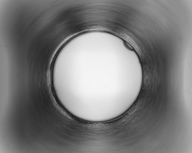 X0000094321092200711301203