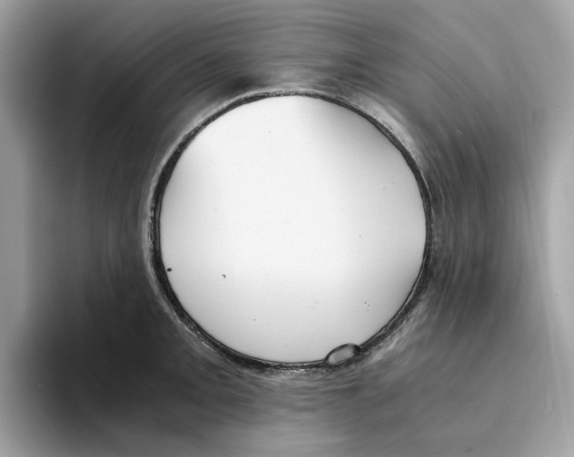 X0000094321093200711301203