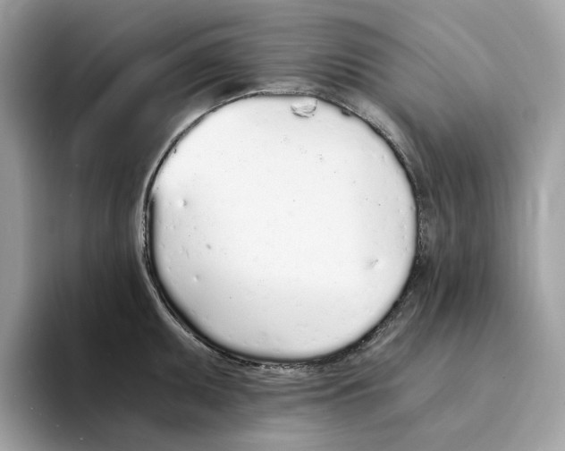 X0000094321095200711301203