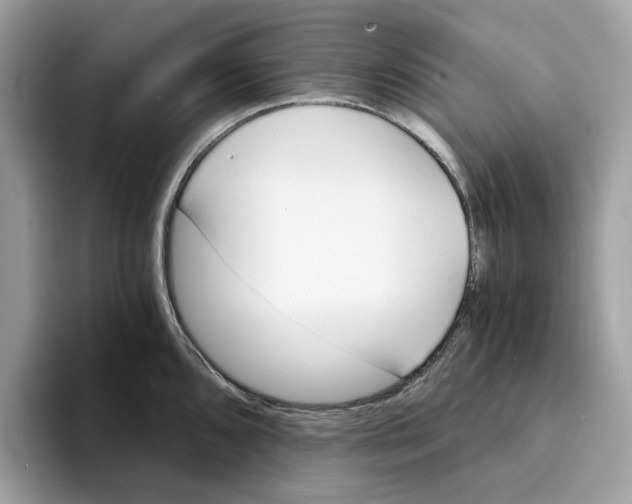 X0000094321096200711301203