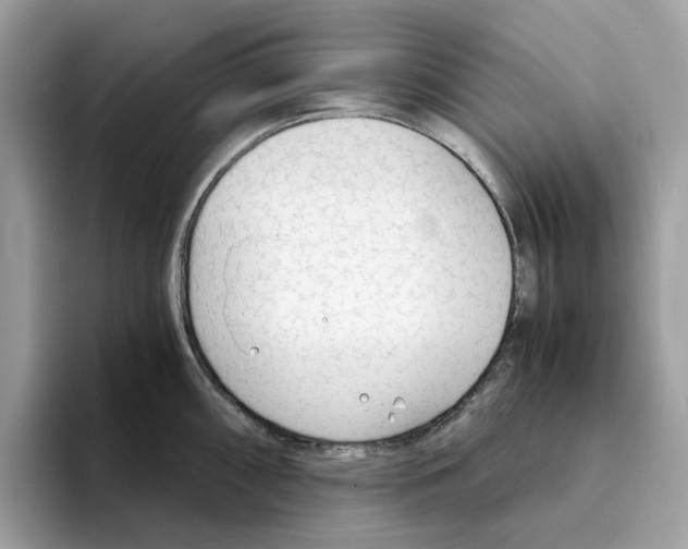 X0000094321098200711301203
