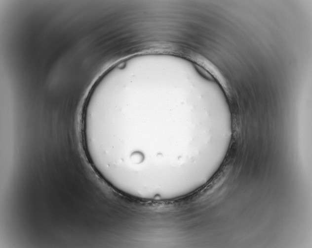 X0000094321099200711301203