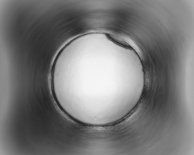 X0000094321100200711301203