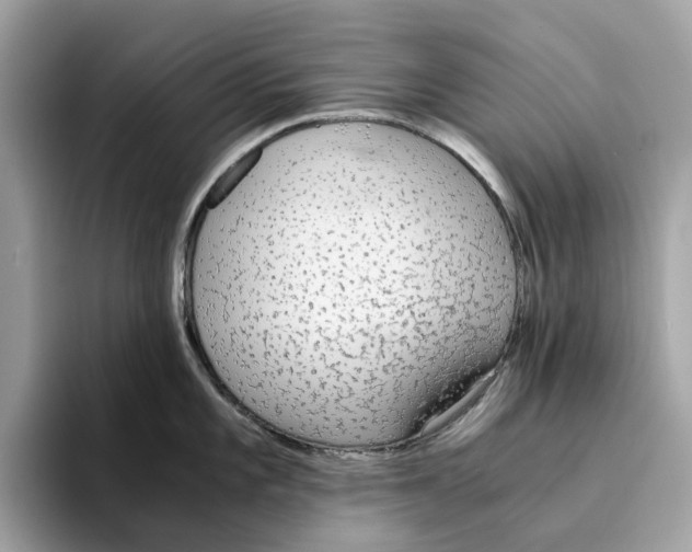 X0000094321101200711301203