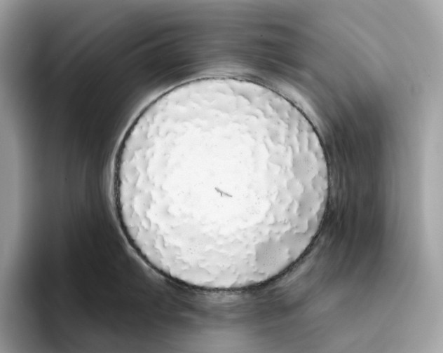 X0000094321103200711301203