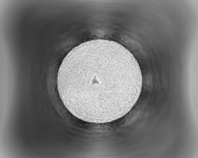 X0000094321105200711301203