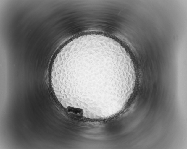 X0000094321121200711301203