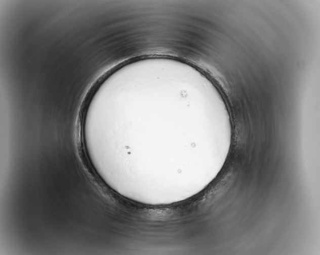 X0000094321125200711301203