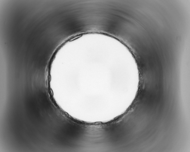 X0000094321126200711301203