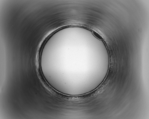 X0000094321128200711301203