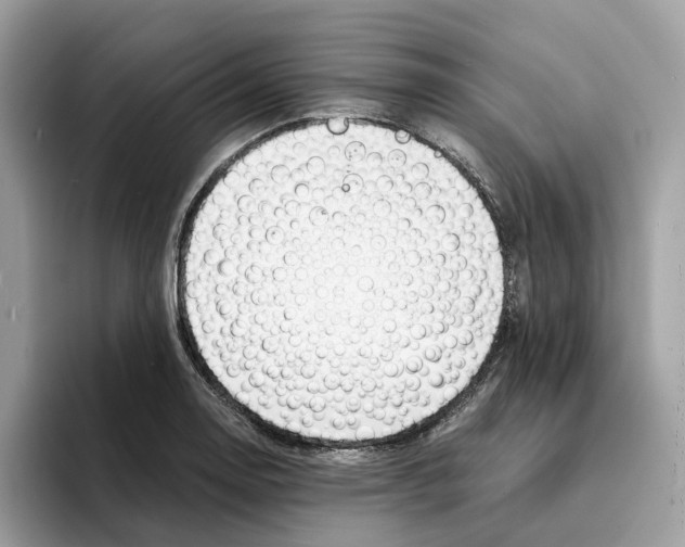 X0000094321130200711301203