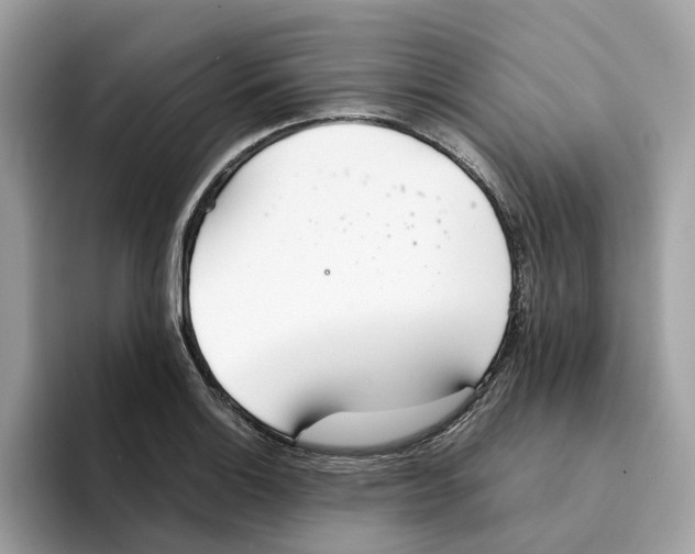 X0000094321132200711301203