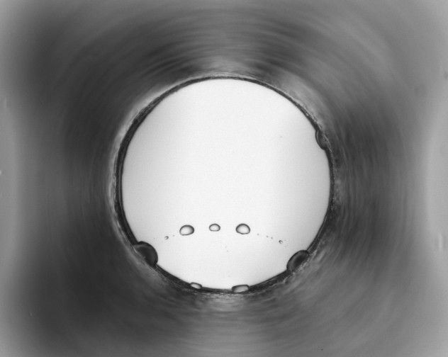 X0000094321136200711301203