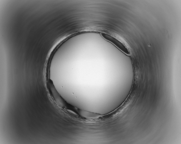 X0000094321138200711301203
