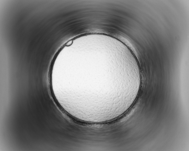 X0000094321141200711301203