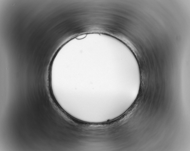 X0000094321142200711301203