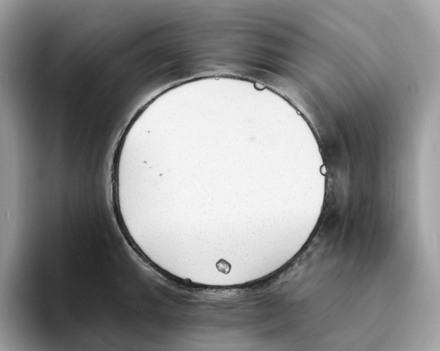 X0000094321143200711301203
