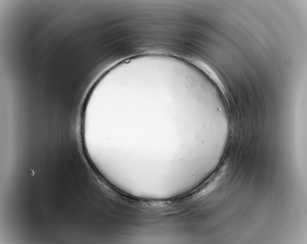 X0000094321149200711301203