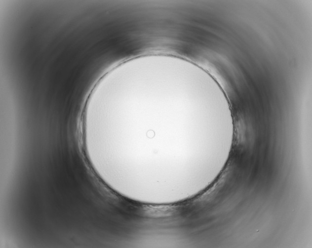X0000094321150200711301203