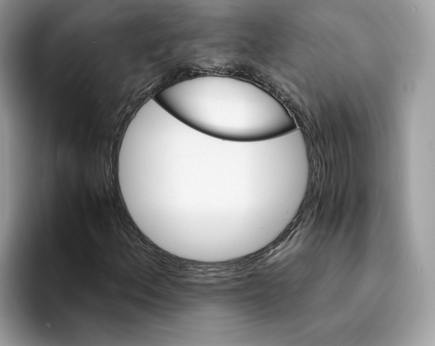 X0000094321156200711301202